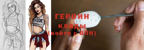 spice Богородицк