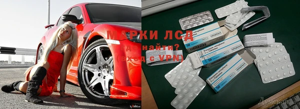 spice Богородицк